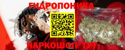 бошки Ставрополь
