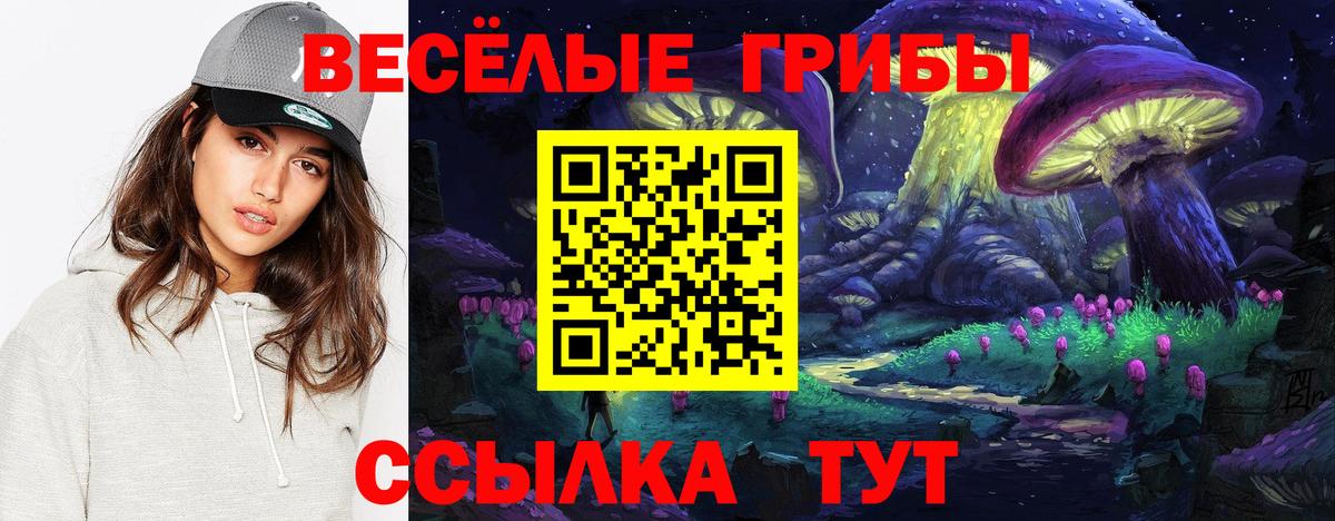 Псилоцибиновые грибы Psilocybe  где найти наркотики  Нурлат  Вход с VPN 